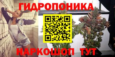 ГАЛЛЮЦИНОГЕННЫЕ ГРИБЫ Канаш